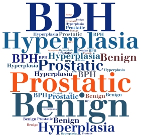 bigstock-Bph--Benign-Prostatic-Hyperpl-118490516.jpg